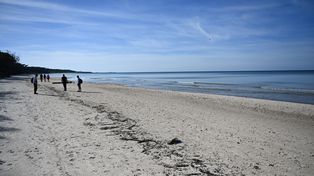 Mazut na plażach w Ustce. "Całe buty były brudne i już plamy zostały"