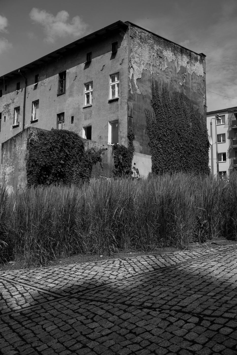 Leica M Typ 240 - klasyczne połączenie elegancji z nowoczesną technologią 32