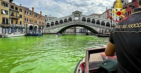 Wenecja pozieleniała. Tajemnicza plama w Canal Grande