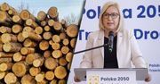 Wywóz polskiego drewna do Chin. Minister tłumaczy