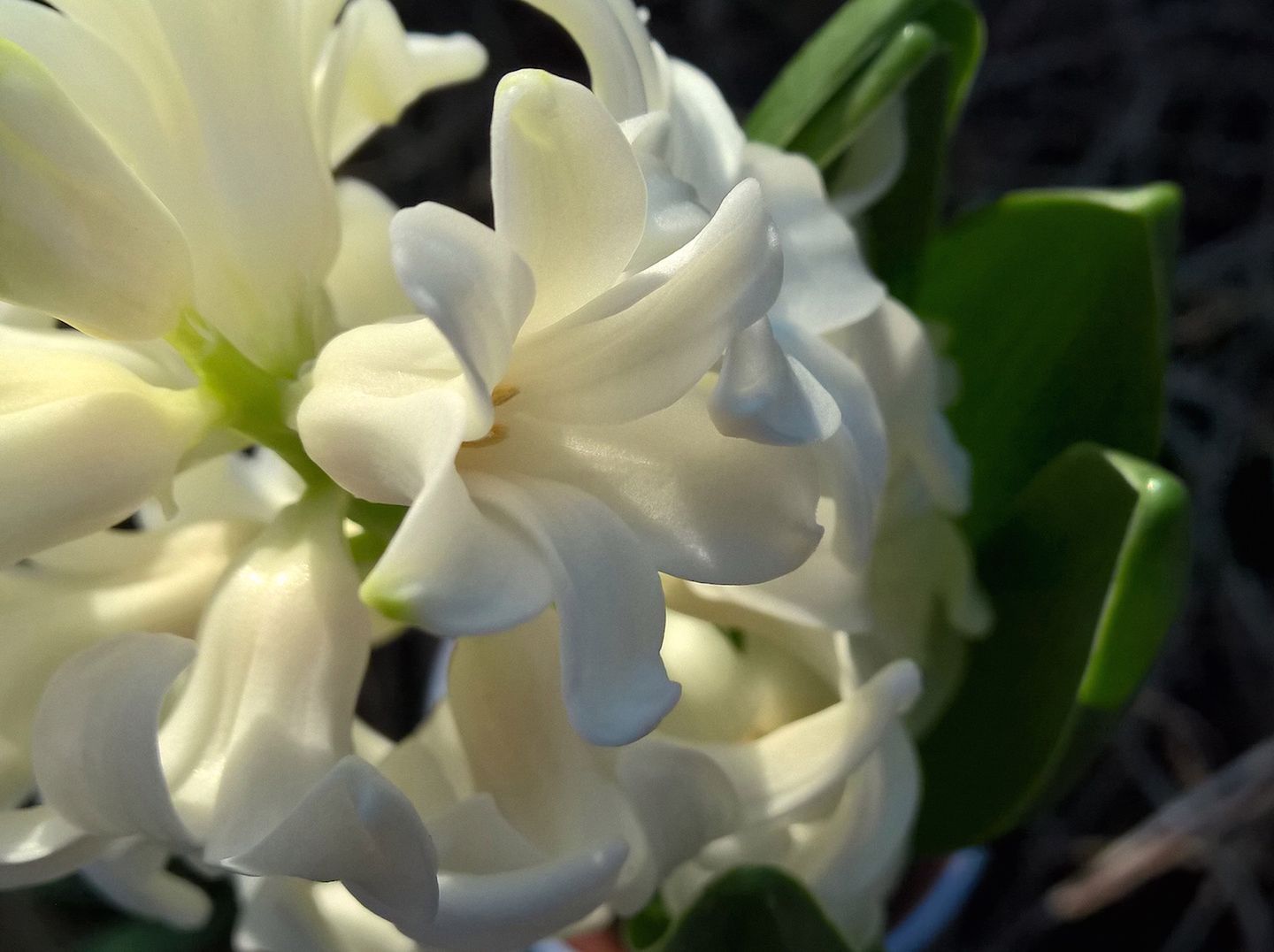 Lumia 930 - test fotograficzny 28