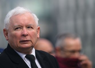 PiS po cichu wprowadza test przedsiębiorcy. Firmy zatrudniające pozornych samozatrudnionych mogą za niego słono zapłacić