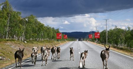 Norwegia zamyka granice dla Rosjan. W tle zagrożenie zamachami