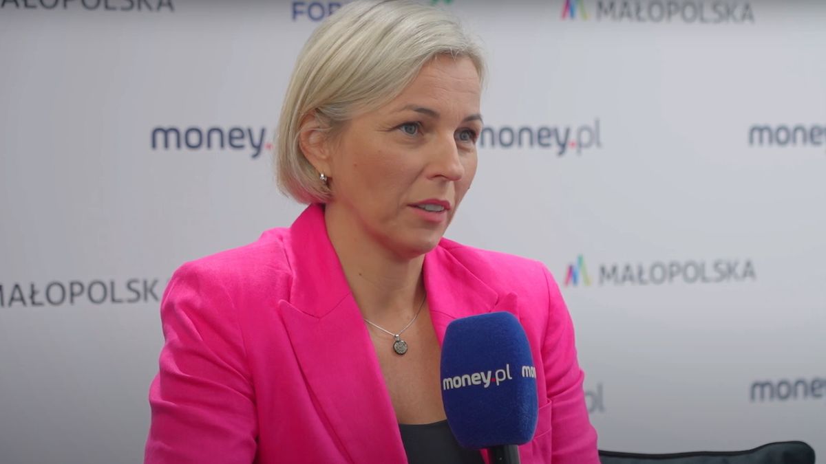 Agnieszka Pala, Małopolska Agencja Rozwoju Regionalnego