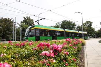 Poznań: Przetarg na nowe tramwaje. Jedyna oferta przekracza budżet MPK