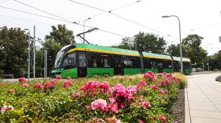 Poznań: Przetarg na nowe tramwaje. Jedyna oferta przekracza budżet MPK