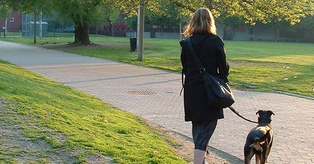 Odkup Lublin, czyli posprzątaj po swoim pupilu