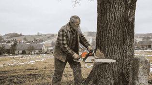 Nakla: Niebezpieczna wycinka. Akcja służb i policyjne dochodzenie