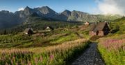 Zakopane mniej znane. Atrakcje poza utartym szlakiem