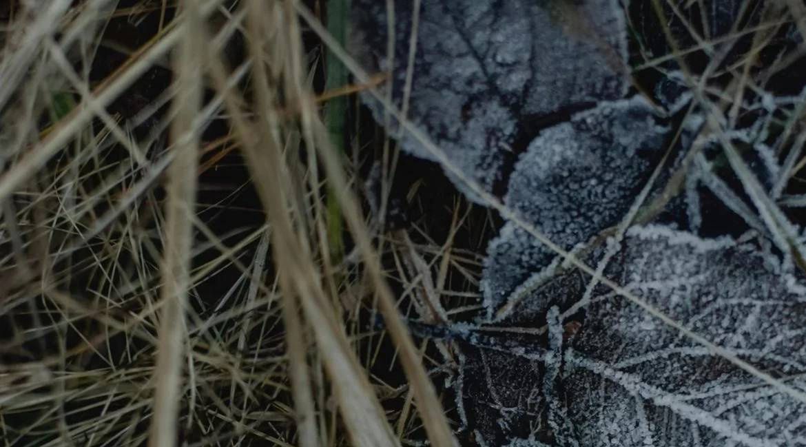 Maj na razie będzie mrozić. IMGW wydał kolejne ostrzeżenie dla Wielkopolski
