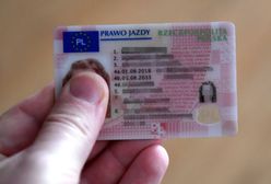 Nowe przepisy. Ma grozić utrata prawa jazdy nawet na pięć lat