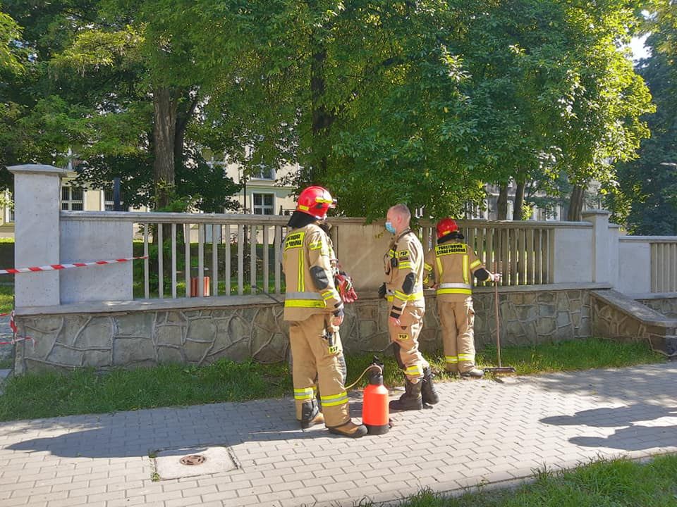 Z biedronkami rozprawili się strażacy