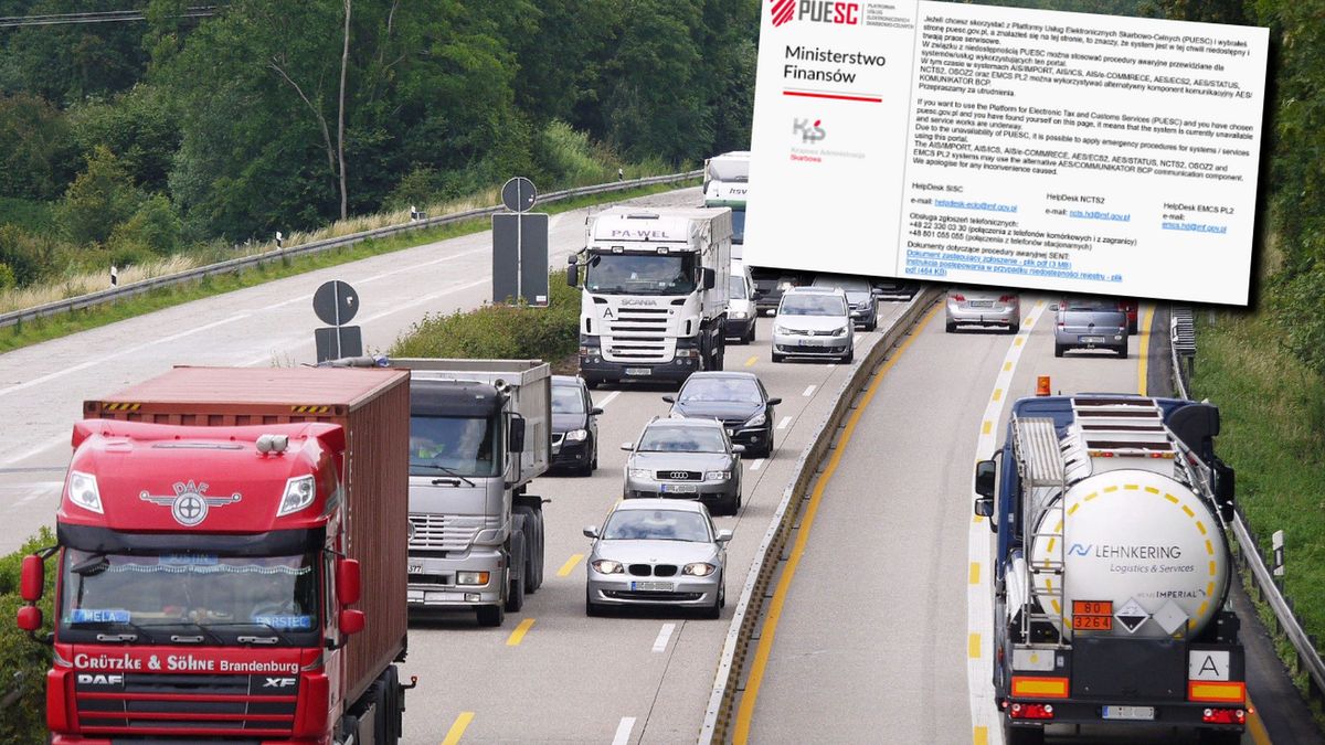 PUESC jest skierowana głównie do przedsiębiorców oraz osób fizycznych, które prowadzą obrót towarowy z zagranicą