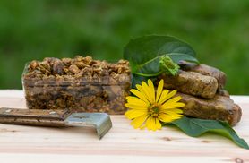 Propolis – skład, właściwości, działanie i środki ostrożności