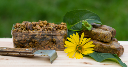 Propolis – skład, właściwości, działanie i środki ostrożności
