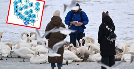 Powrót mrozów. Synoptycy nie mają dobrych wiadomości