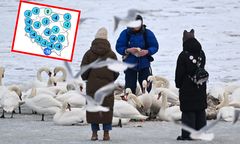 Powrót mrozów. Synoptycy nie mają dobrych wiadomości