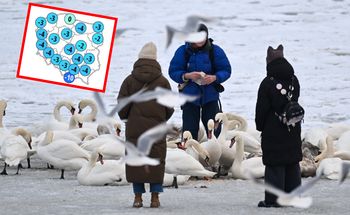 Powrót mrozów. Synoptycy nie mają dobrych wiadomości