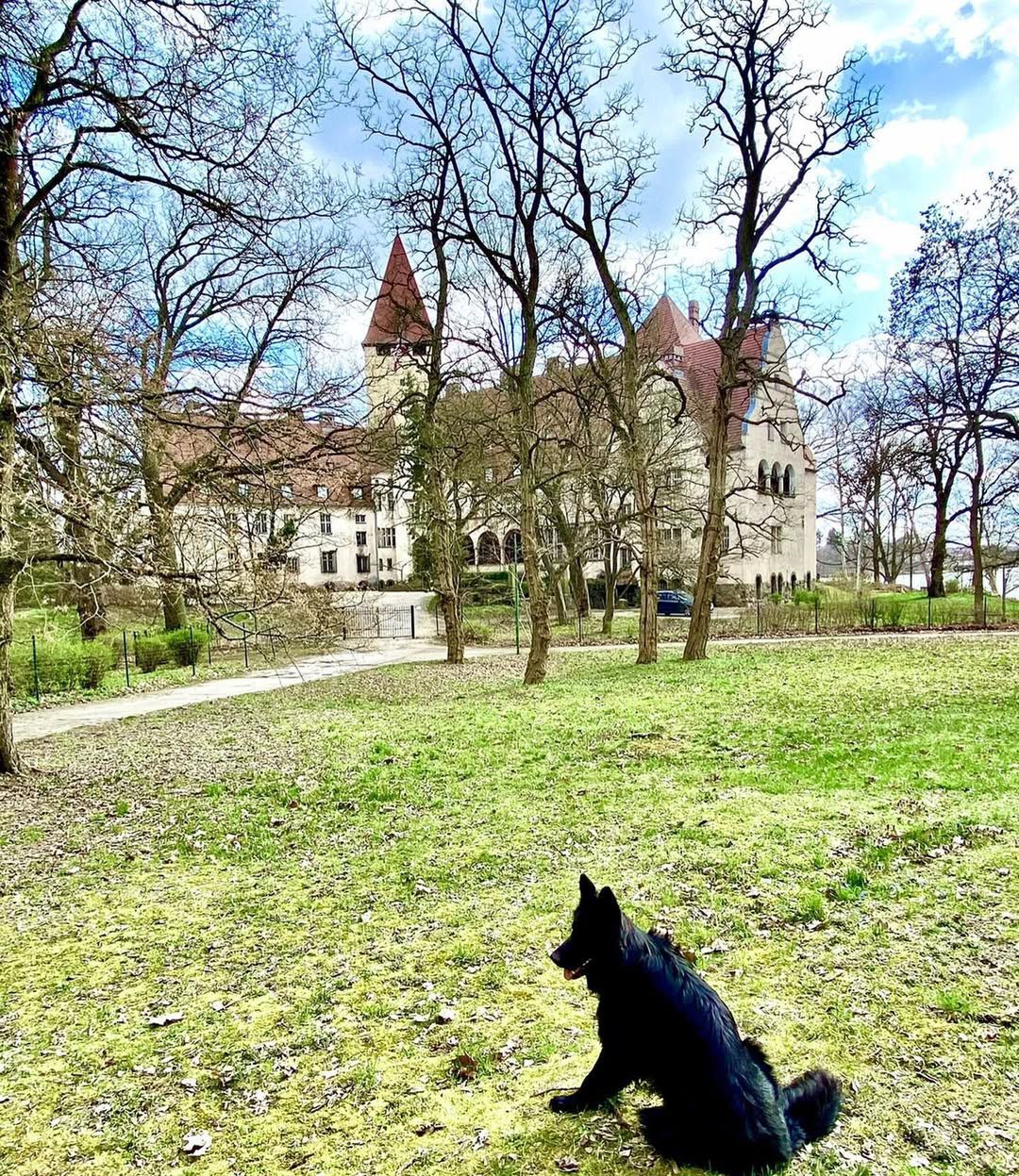 Tak mieszka Jan Lubomirski-Lanckoroński