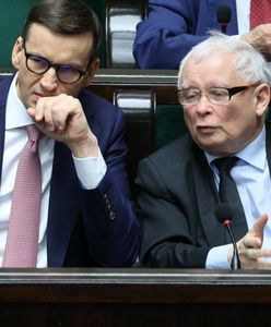 Referendalne pytania pełne pytań [OPINIA]