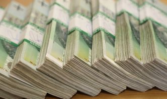 Małżeństwo ukarane wysokim podatkiem. Nie udowodnili, skąd wzięli pieniądze