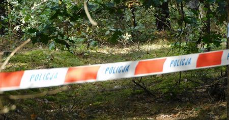 Tragiczny wypadek podczas wycinki drzew. Nie żyją ojciec i syn