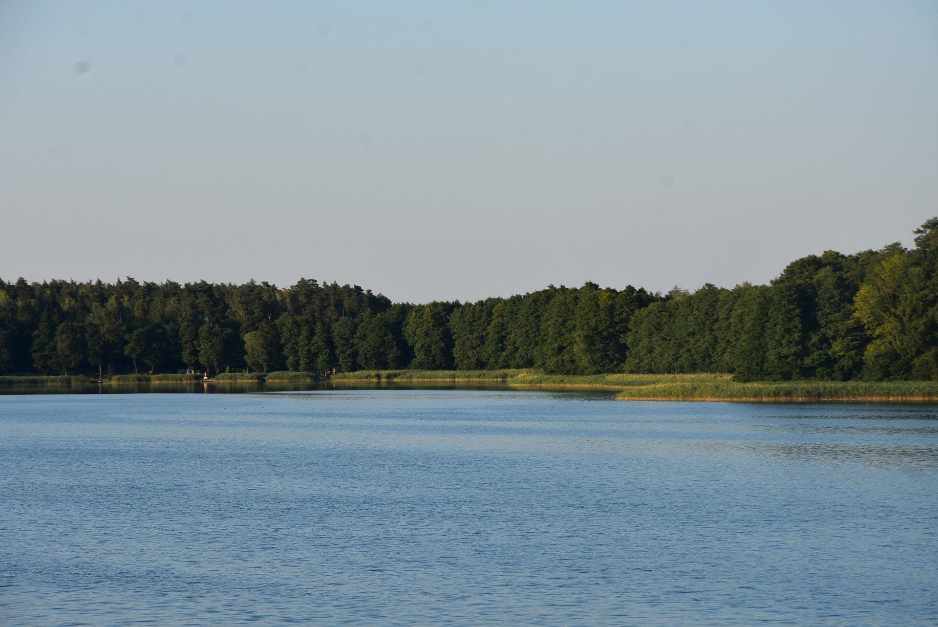 Plaża w Kobylcu