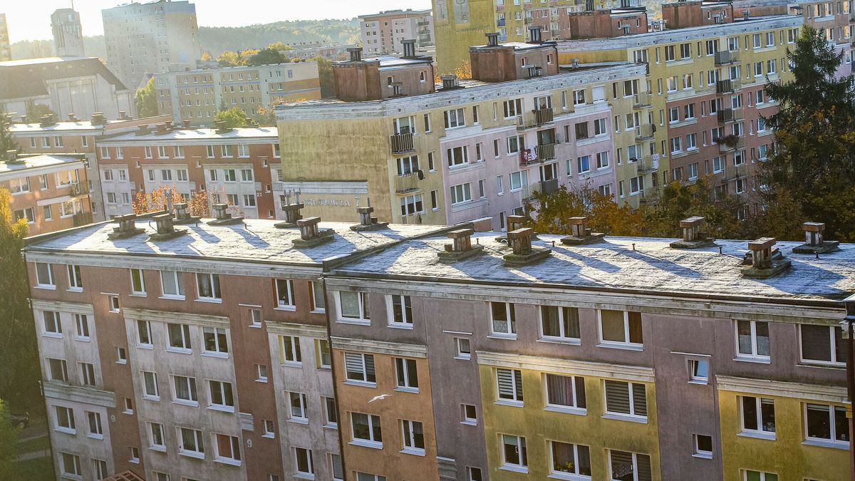 Pierwsze przymrozki
20.10.2025 Olsztyn Przymrozki w miescie fot. Artur Szczepanski/REPORTER
Artur Szczepanski/REPORTER