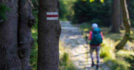 "Szaleństwo ekologów". Trwa dyskusja o powiększeniu parku narodowego