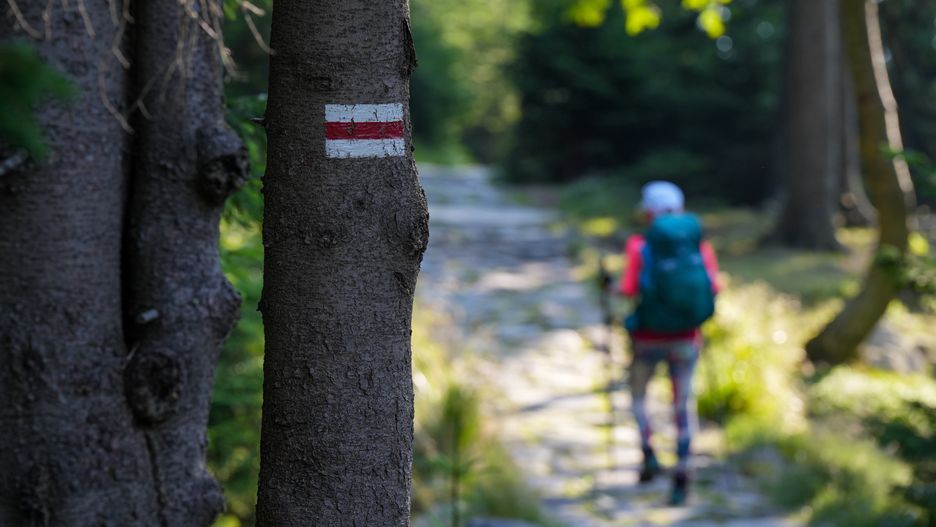 Główny Szlak Sudecki w Karkonoszach