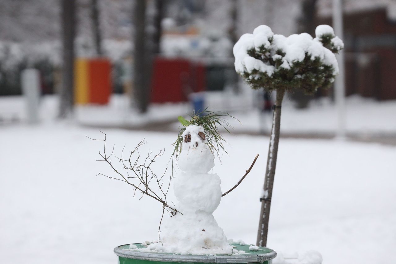 Arktyczne uderzenie zaskoczyło Polskę. Przygotuj się na gołoledź i zamieć