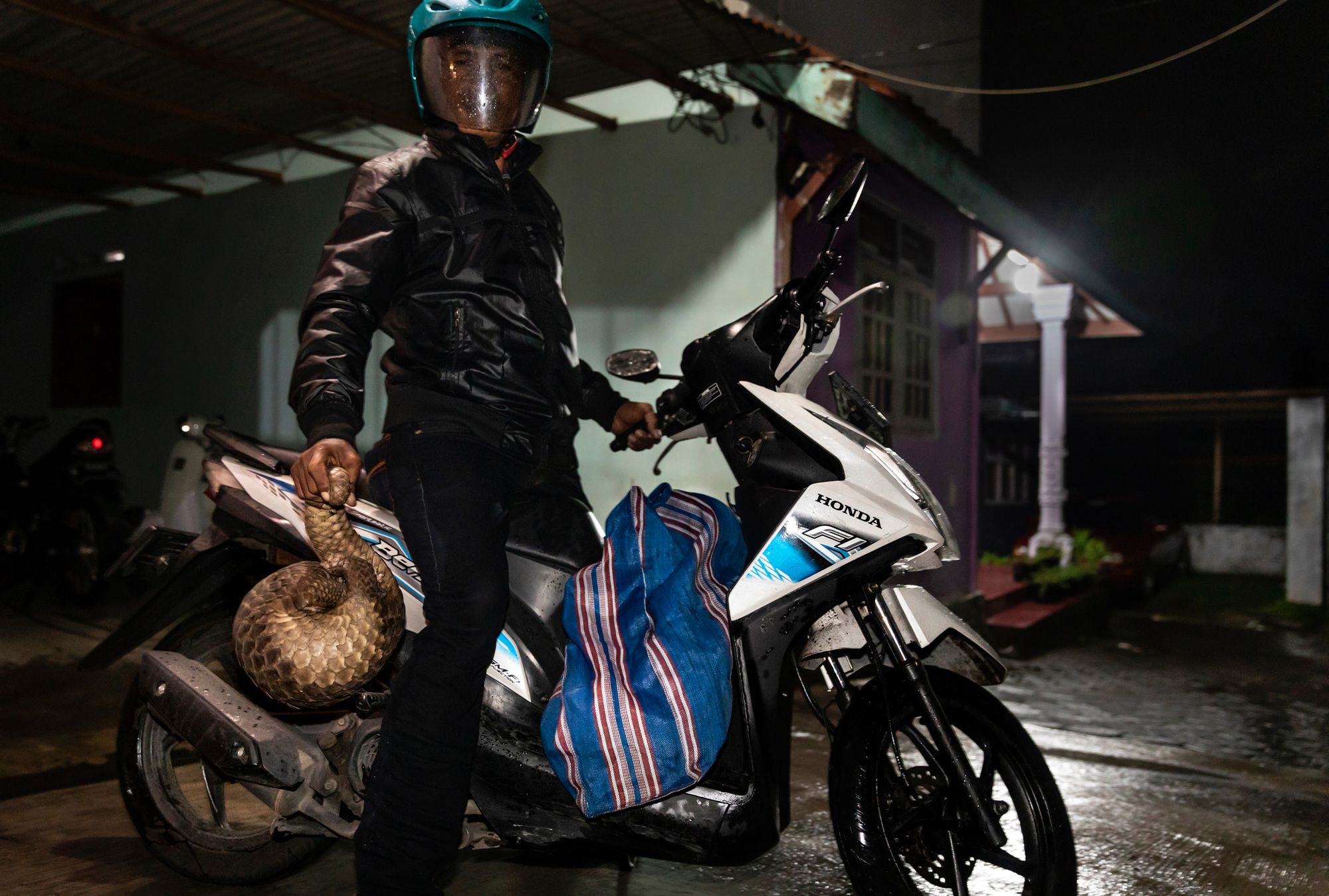 Znamy nazwiska nominowanych do World Press Photo 2020. Jest wśród nich Tomek Kaczor 107
