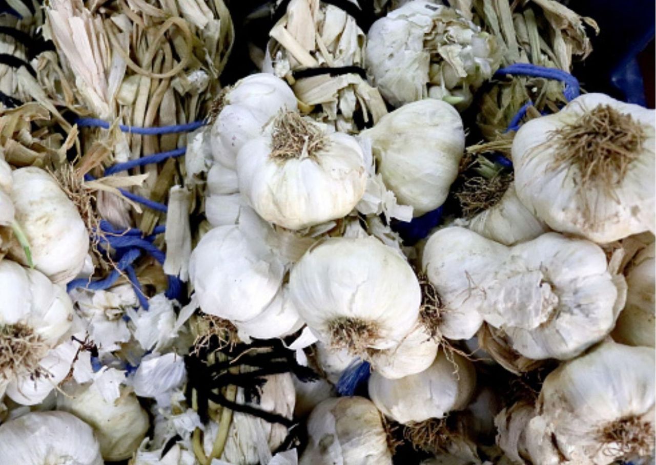 Czosnek może szkodzić. Kto nie powinien go spożywać?