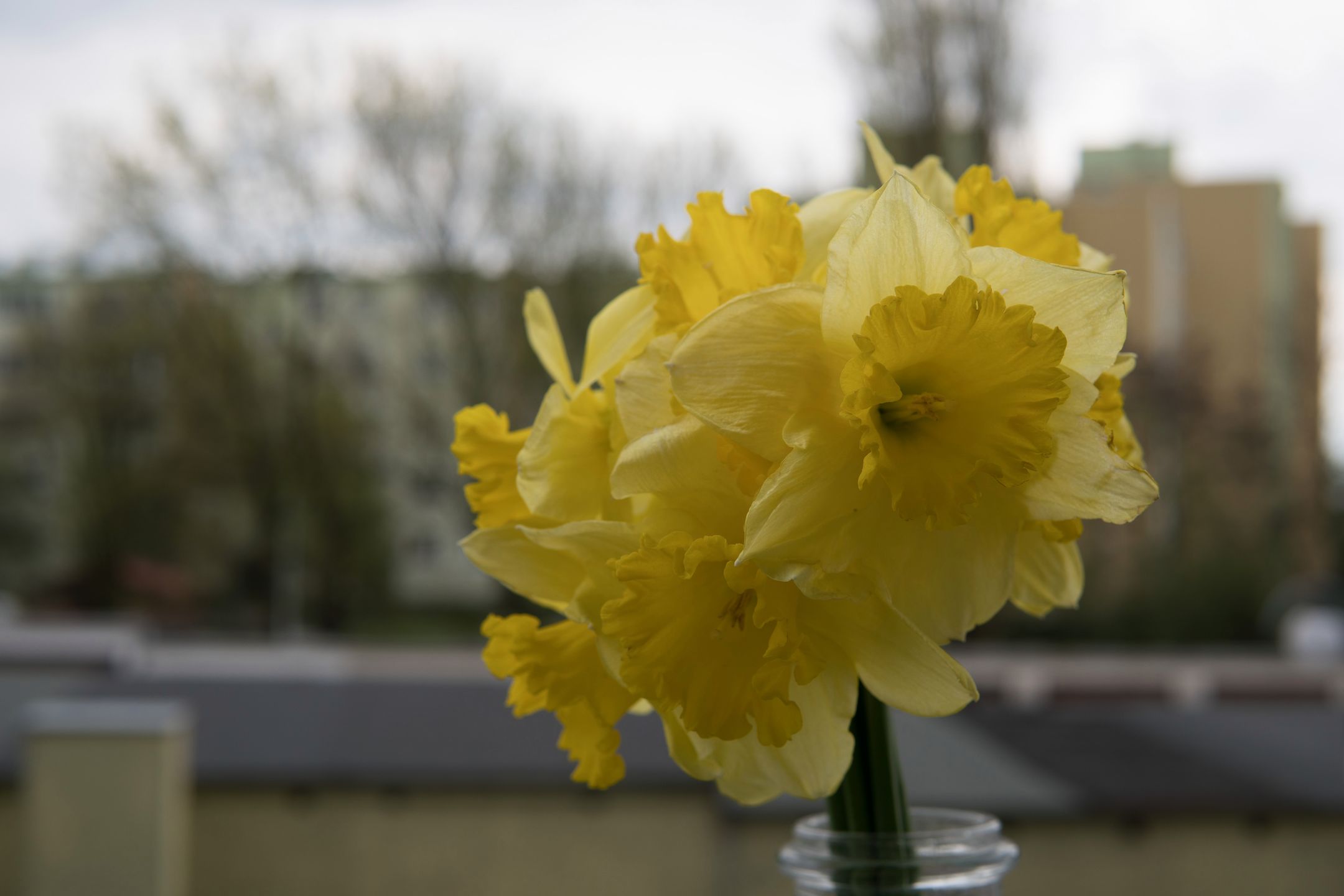 Sigma 30 mm f/1.4 DC DN - recenzja jasnego obiektywu stworzonego z myślą o bezlusterkowcach 26