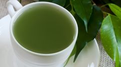 Zielona kawa na odchudzanie. Wystarczy jedna filiżanka przed posiłkiem