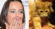 Mucha zawiadomiła policję! Złapią truciciela kotów?