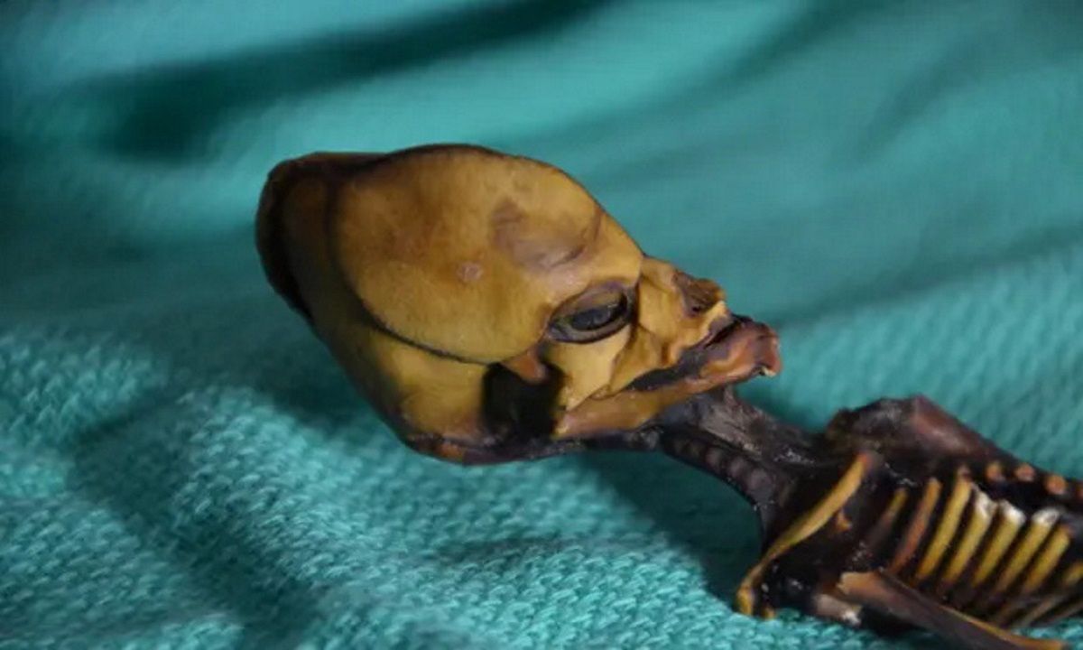 Tajemniczy szkielet z Chile. Naukowcy rozwiązali jego zagadkę po 18 latach