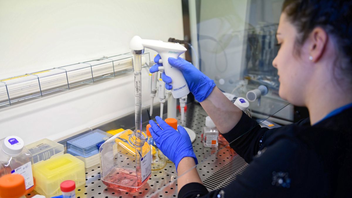 Biznes Inno-Gene zainteresował dużego gracza światowego rynku farmaceutycznego.