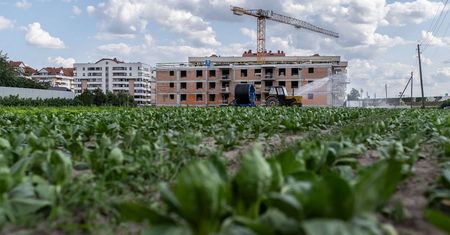 "Banki ziemi" w Warszawie. Deweloperzy wstrzymują budowę tysięcy mieszkań