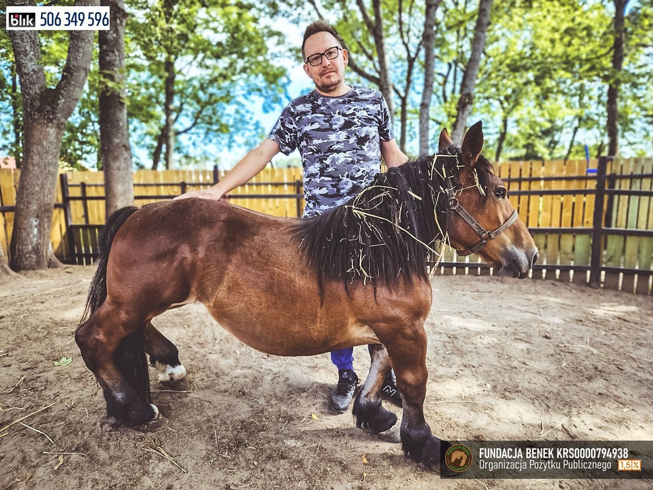 MALEŃKA, dorosła, zimnokrwista klacz, która choruje na karłowato