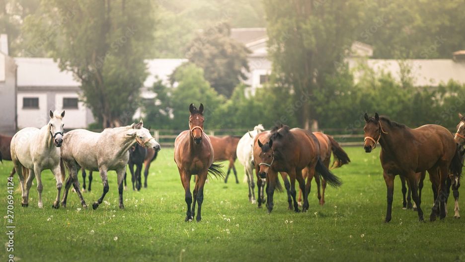Pierwsze Zawody Eldorado Cup w Kobylance 