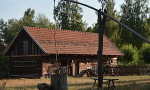 Masz to na swojej posesji? Zmiany w prawie mogą objąć także ciebie