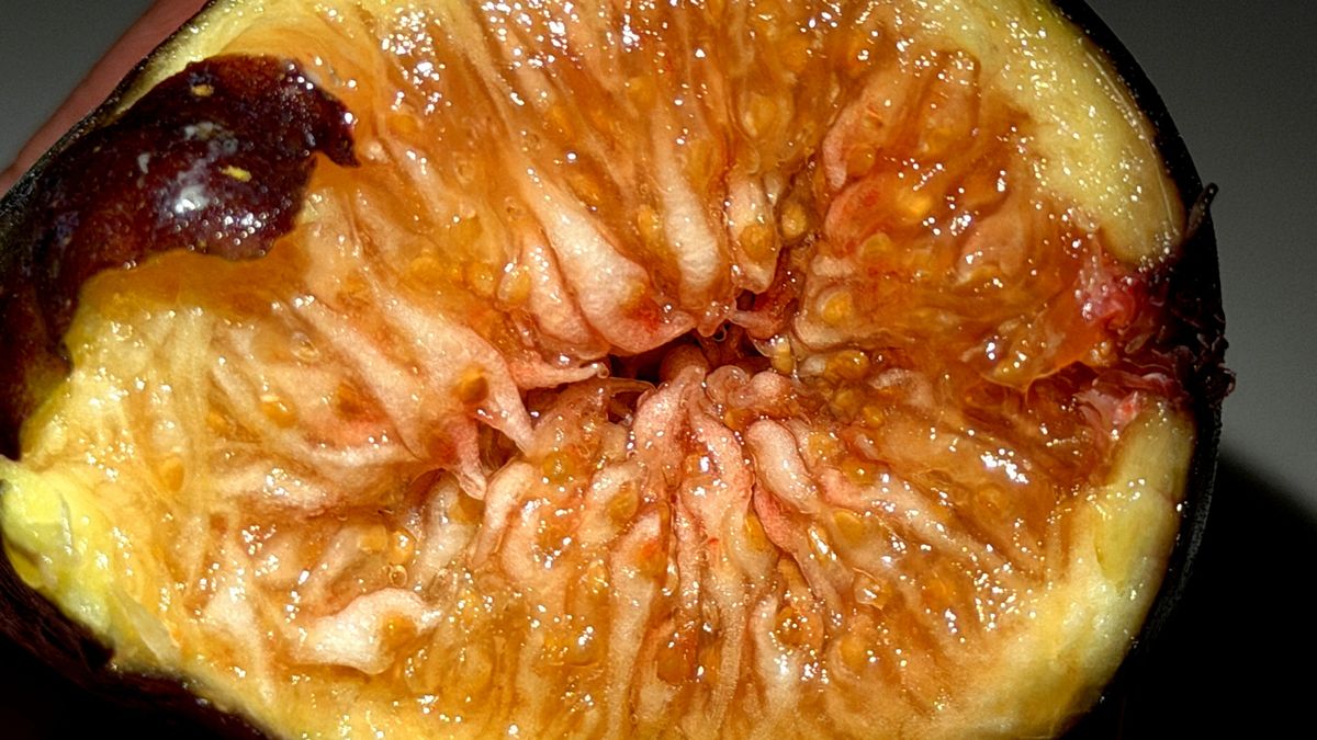 Figi są niewielkimi owocami z wyjątkowym składem.