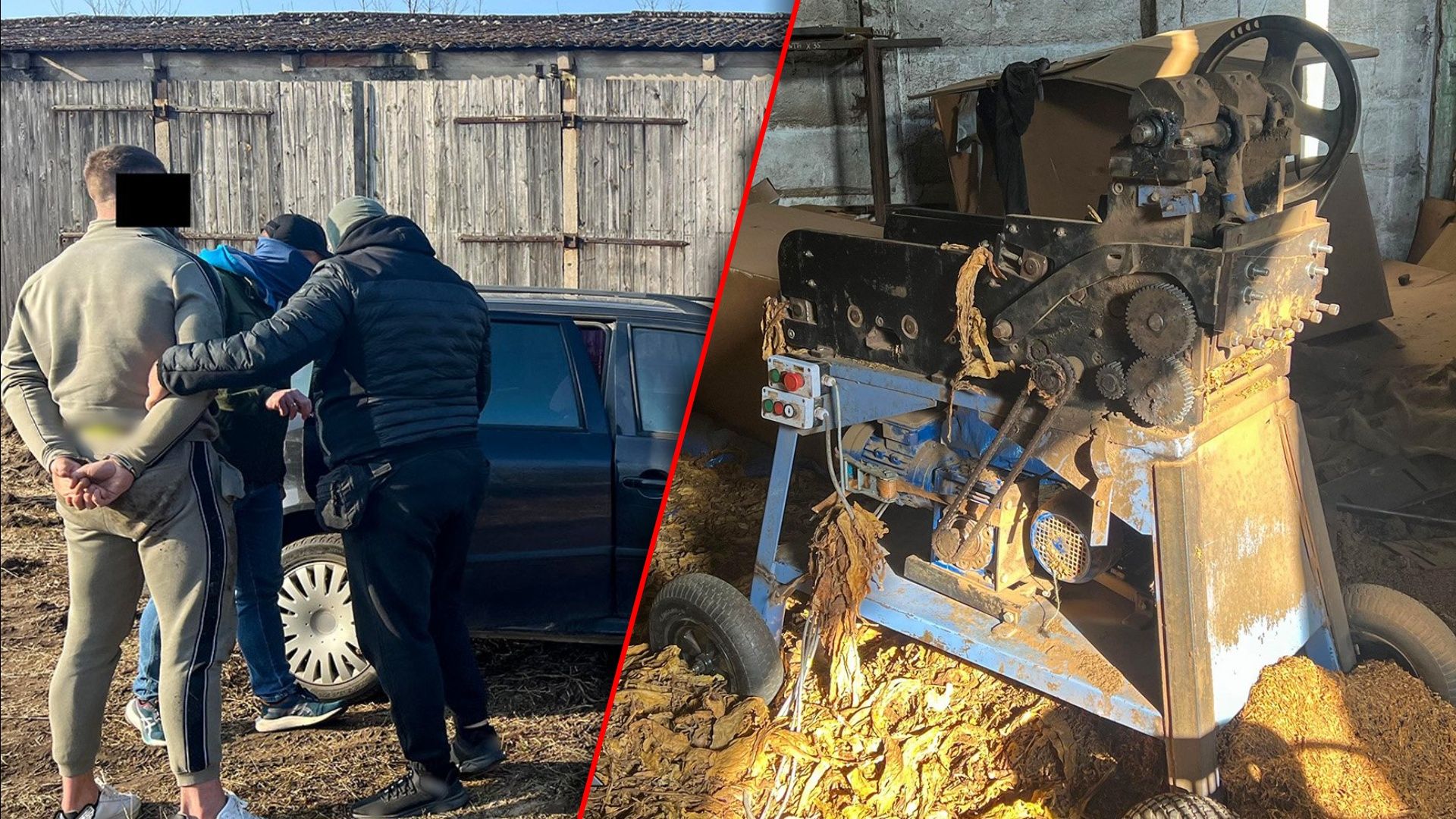 Weszli na prywatną posesję. Gospodarstwo rolne skrywało tajemnicę