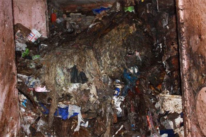 Najbardziej zaśmiecone mieszkania na świecie 31