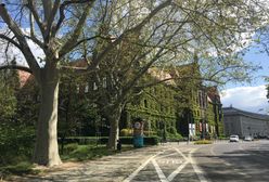 Noc Muzeów 2021. Co oferuje Wrocław? Oto pełen harmonogram