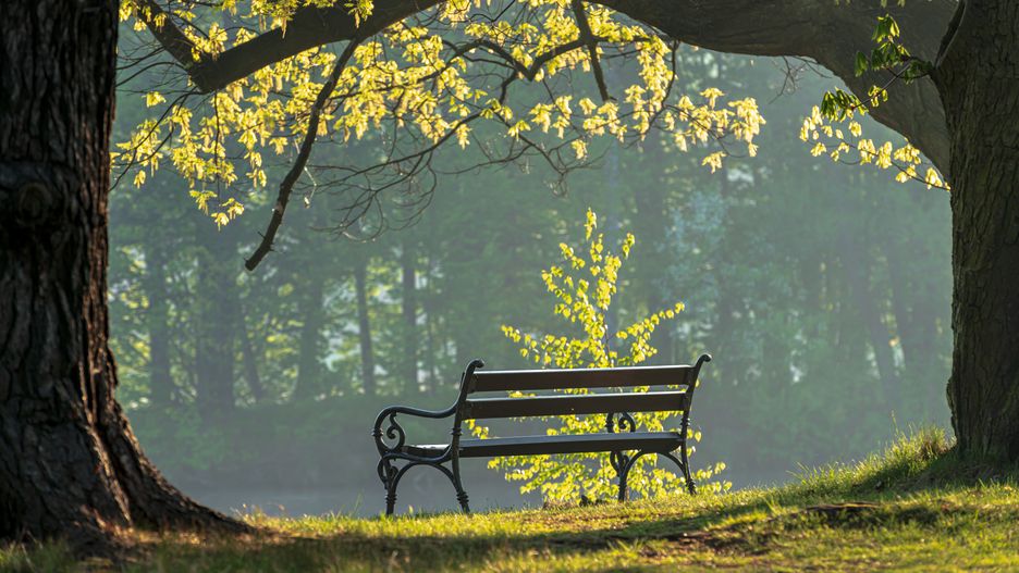 Pamiątkowa ławeczka to piękny sposób na upamiętnienie wyjątkowego człowieka