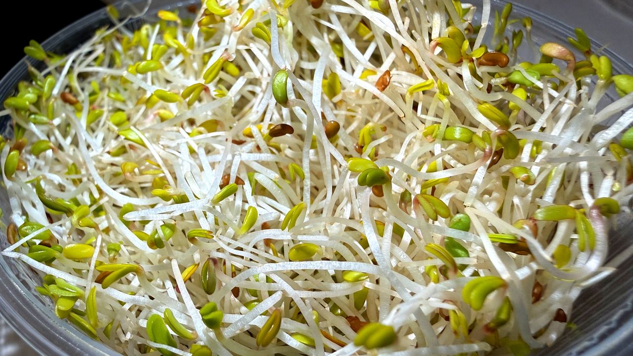 Jesz "dla zdrowia"? Efekt może być odwrotny, uwaga na jelita