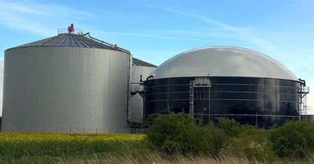 Duże pieniądze dla rolników. Rząd dostrzega szansę