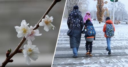 Pogoda w lutym zaskoczy. Jedni zmarzną, inni ucieszą